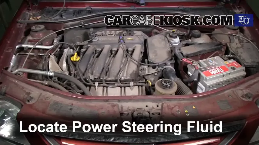 2006 Dacia Logan Prestige 1.6L 4 Cyl. Power Steering Fluid